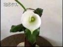 仿真树脂粘土手工制作教学视频
