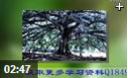 摄影速成专业教学视频集锦