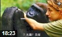 摄影相关基础知识理论教学视频