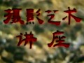 摄影艺术讲座视频教程