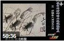 《中国绘画鉴赏》专题视频讲座教程