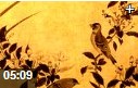 中国国画绘画艺术理论讲解教学视频