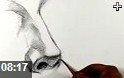 人像五官素描分步教学视频