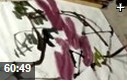 写意国画专业绘画技法教学视频