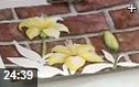 花卉水彩绘画方法基本教学视频