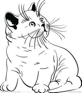 实用素描视频教程
