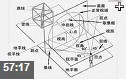 专业绘画透视技术应用技巧教学视频