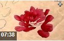 实用写意牡丹国画绘画技法教学视频