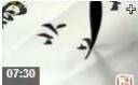 《每日一字》精品课程教学视频