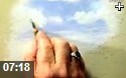 炫彩花卉风景绘画技法教学视频