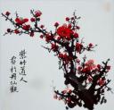 写意梅花系列讲座视频(上)