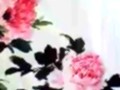 梅老师牡丹画法视频教程