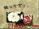 孙玉德写意牡丹入门篇视频教程