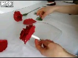 手工康乃馨花朵制作艺术教学视频