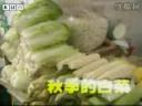 传统东北菜厨艺秘笈教学视频