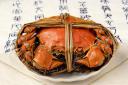 河蟹烹饪与饮食秘笈教学视频