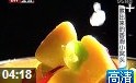 营养早餐健康饮食宝典教学视频
