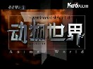 动物世界中你所不知道的动物情感视频教程