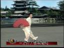 48式陈式太极扇教程