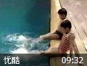 教你学游泳视频教程