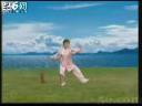 太极长穗剑教学视频