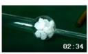 初中化学实验大全详解教程