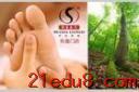 精品家庭足部推拿保健教程