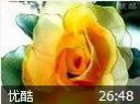 丝网花的制作—纸花