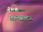 低级花卉园艺工技能培训视频教程