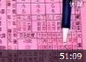 八字高级职业课程