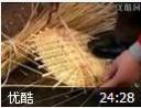 小麦秆玉米皮编织技术