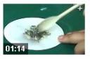 初中化学实验大全精讲教程