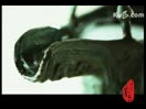 中国茅台酒的百年文化讲解视频教程