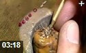 玉石雕刻加工处理技术教学视频