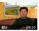 实用英语写作基础教程