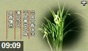 中国古典文学诗词解说视频教程