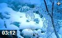 班得瑞经典轻音乐聆听教学视频