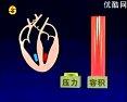 心动周期的介绍