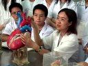 心脏解剖学-南方医科大学解剖学课程
