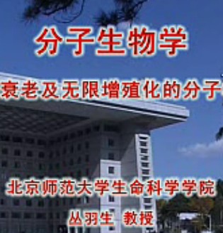 分子生物学-细胞衰老与增殖的分子机制