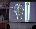 宁夏医学院解剖学课程三讲