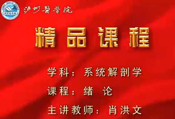 系统解剖学