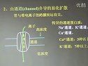 生理学知识讲座-细胞的生理功能