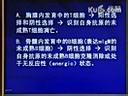 免疫耐受的发生机制 免疫学课程