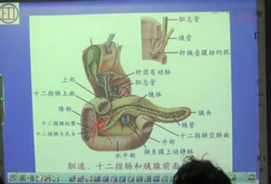 《消化系统》张博士红宝书执业医师考试