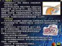 临床执业医师考试实践技能辅导-北京协和