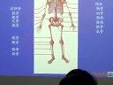 临床执业医师资格考试 运动系统考点分析