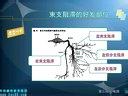 2013年执业医师考试实践技能 心电图课程