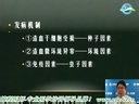 执业医师考试 巨幼红细胞性贫血的复习要点