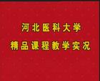 中医脉诊的精品讲座